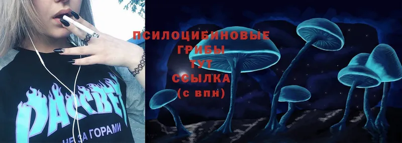 мега ссылка  Лермонтов  Галлюциногенные грибы Magic Shrooms 